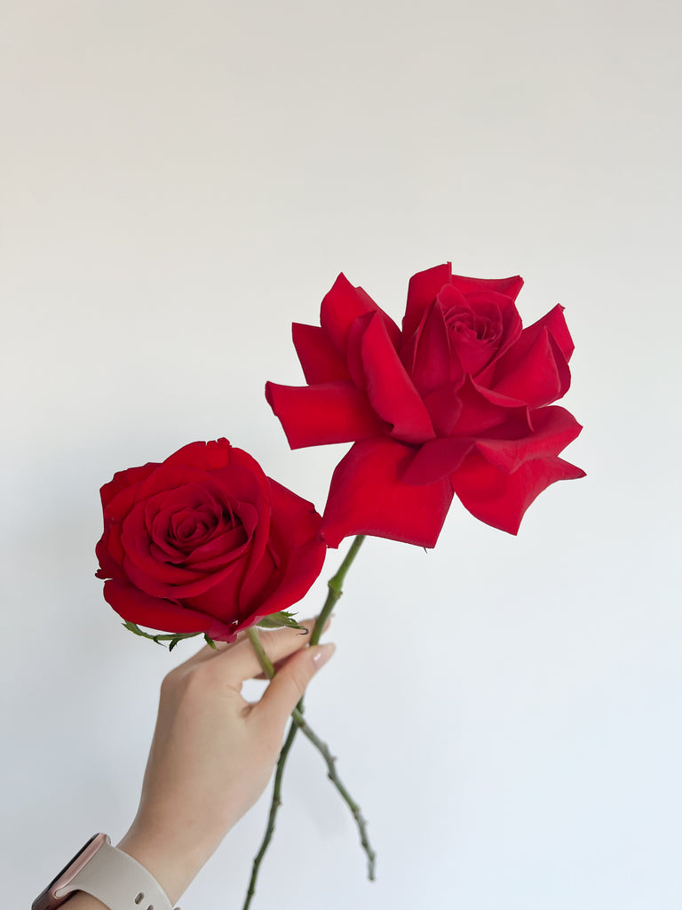 Reflex Single Rose Bouquet – Reminiscent Blooms